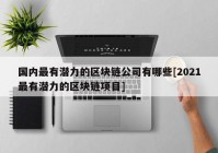 国内最有潜力的区块链公司有哪些[2021最有潜力的区块链项目]